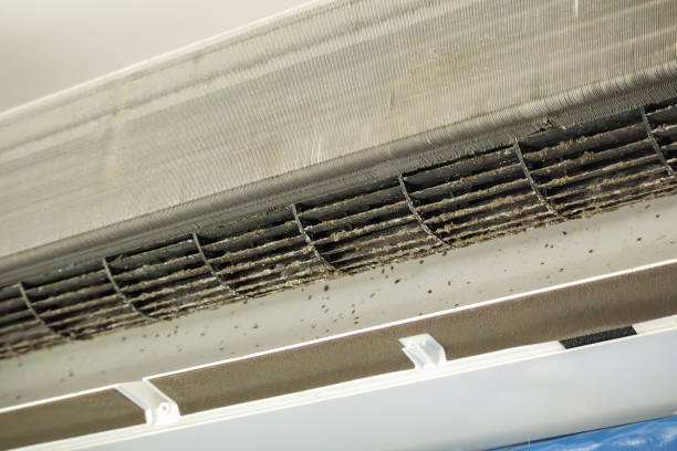 Best HVAC System Cleaning  in Los Banos, CA